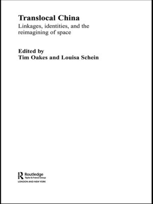 cover image of Translocal China